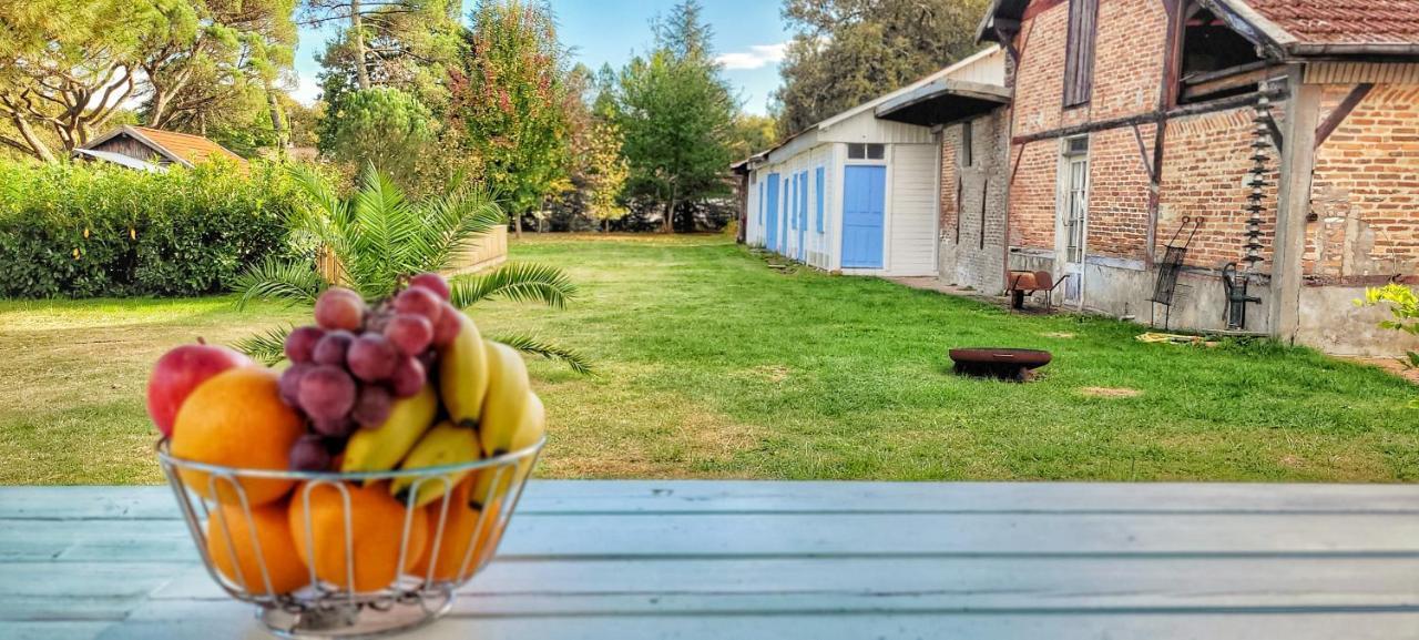Charmante Maison Dans Les Landes X 10 Avec Piscine Et Salle D Escalade Lue Esterno foto