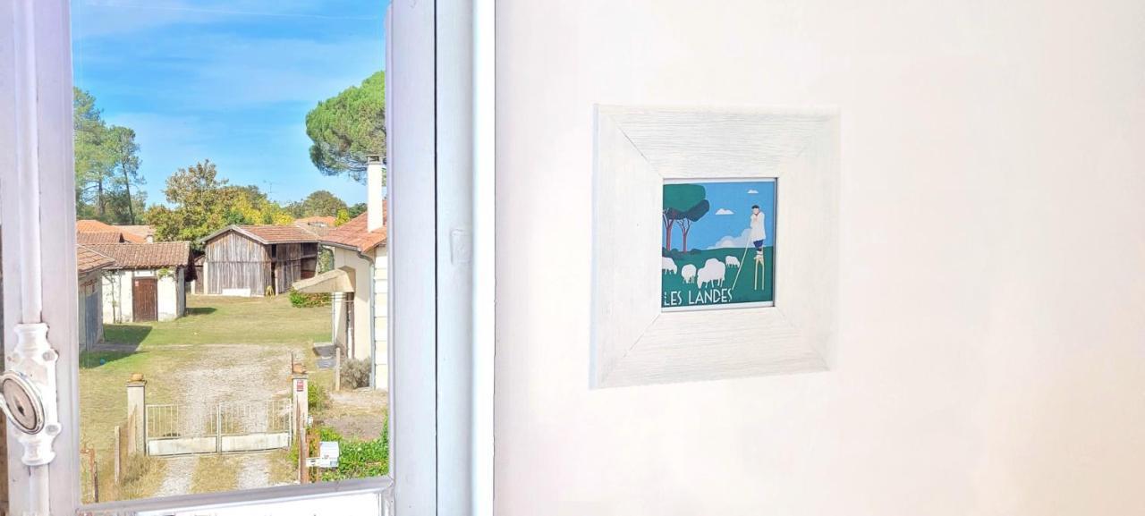 Charmante Maison Dans Les Landes X 10 Avec Piscine Et Salle D Escalade Lue Esterno foto